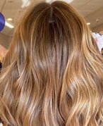 Back of the head of a person with long hair and highlights